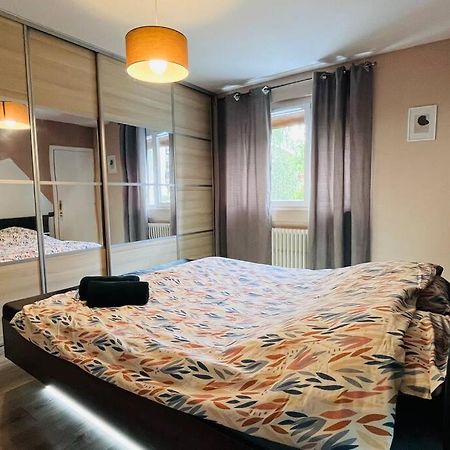 Appartement Proche Centre Ville Avec Parking Gratuit アヌシー エクステリア 写真