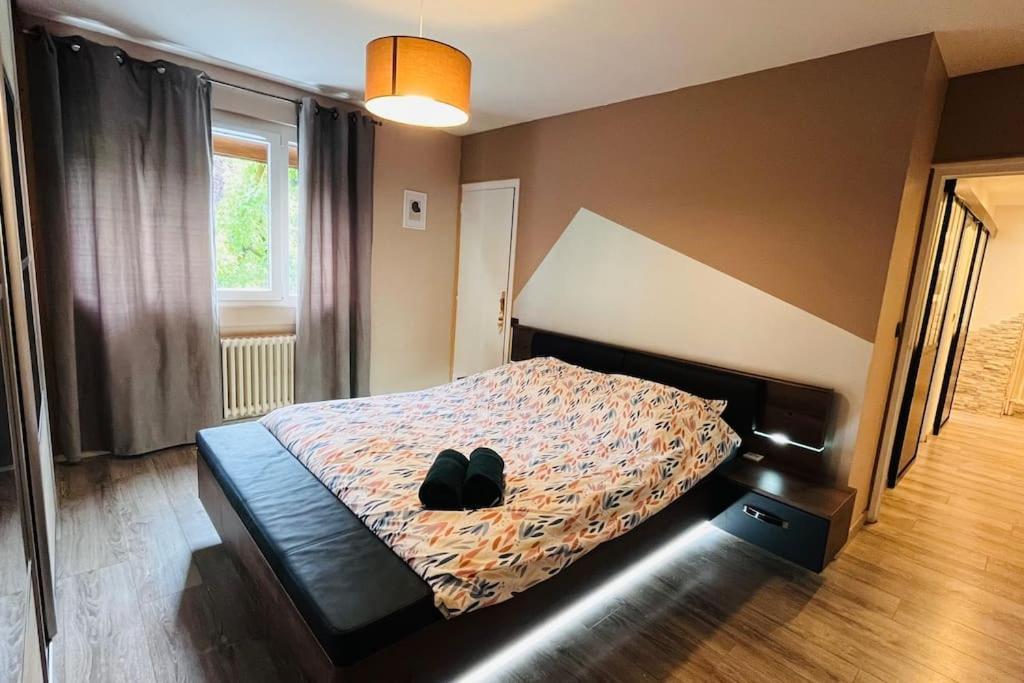 Appartement Proche Centre Ville Avec Parking Gratuit アヌシー エクステリア 写真
